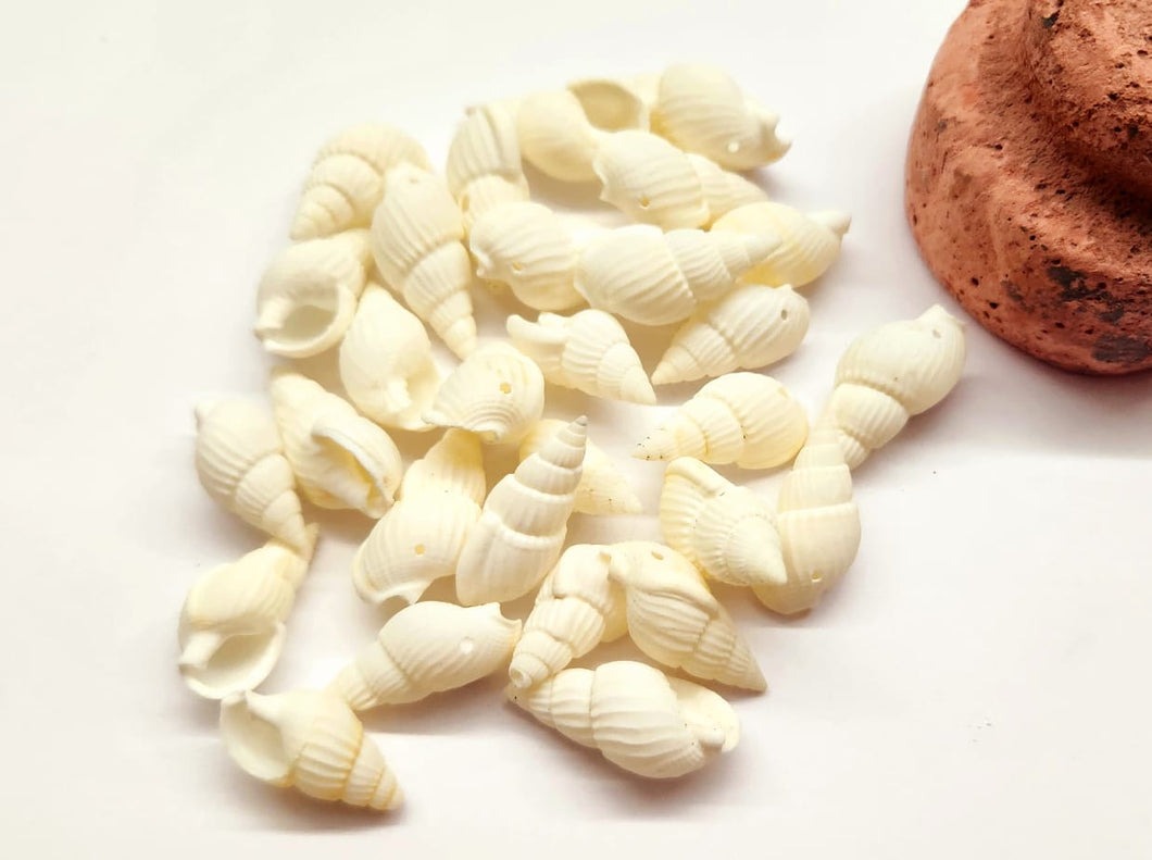 CONCHITAS CARACOL | 11X20MM
