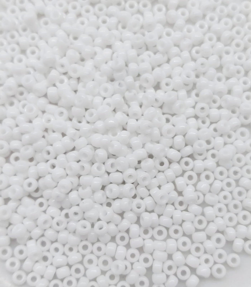 Miyuki Round Rocailles 8/0 | 402RR | Blanco