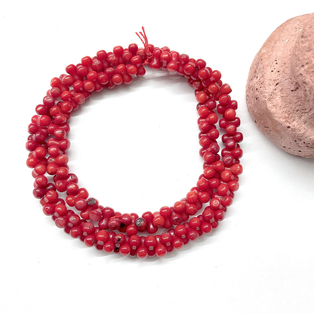 CORAL ROJO | HUESO | CLASE B | 8MM