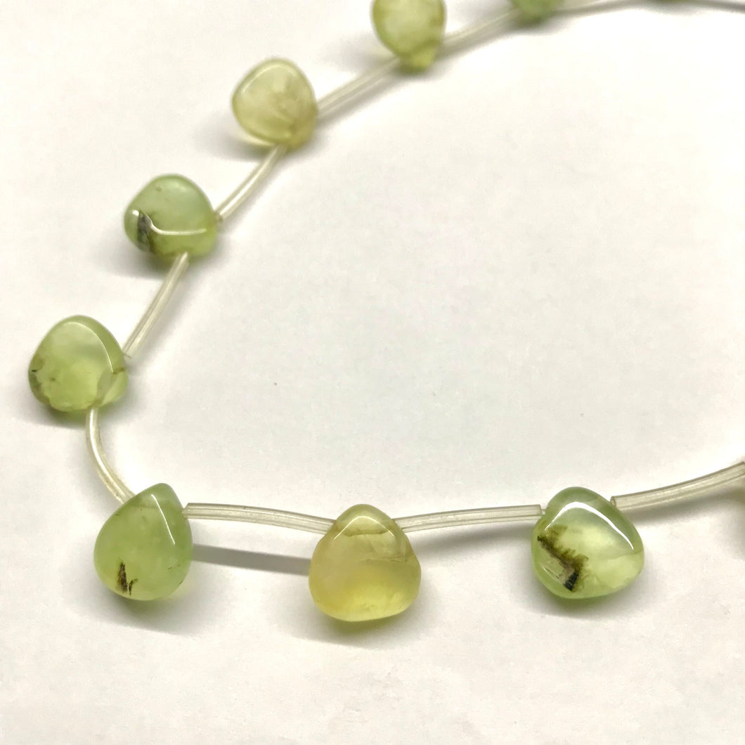 GOTA PLANA | PREHNITA (14-30A)